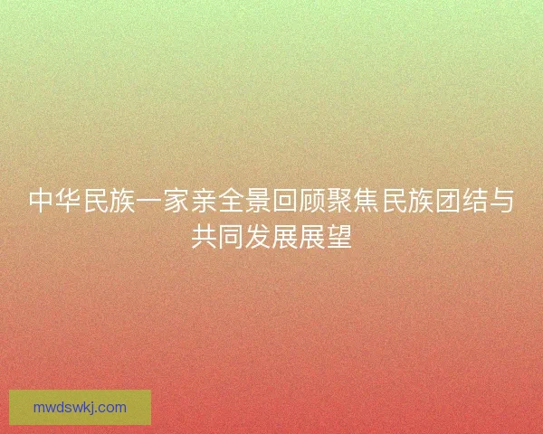中华民族一家亲全景回顾聚焦民族团结与共同发展展望